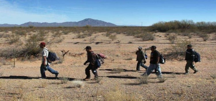 Aseguran a casi 500 migrantes en frontera entre Sonora y Arizona