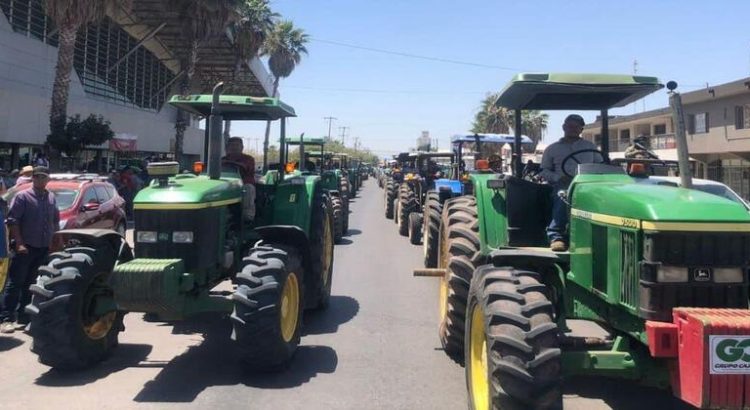 Representante de agricultores en Sonora se reunirá con titular de Sader