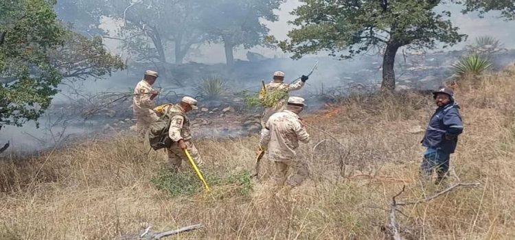 Continúan acciones para sofocar incendios forestales en Sonora