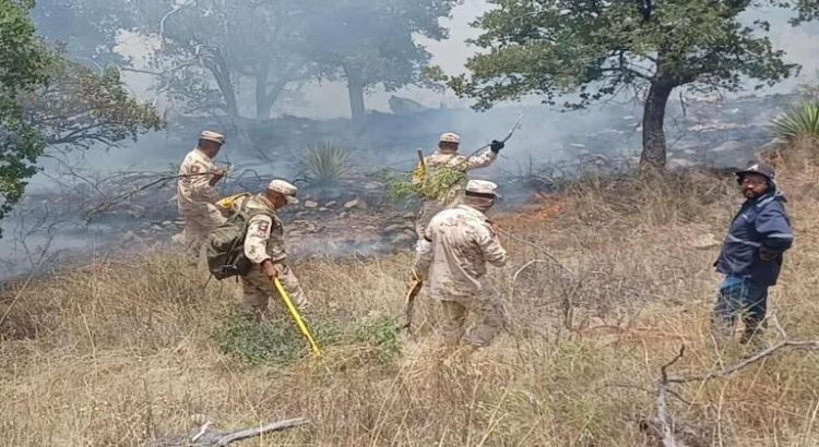 Continúan acciones para sofocar incendios forestales en Sonora
