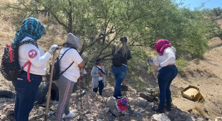 Localizan restos humanos al poniente de Nogales