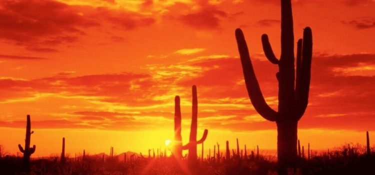 Sonora compite con El Sahara por ser el lugar más caluroso del mundo