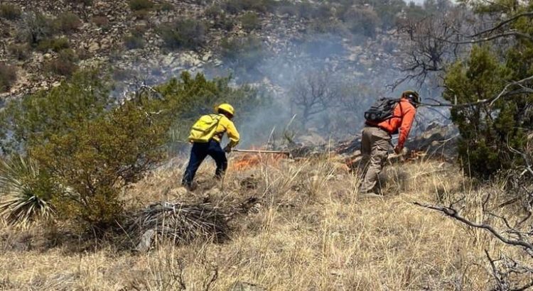 Se rompe récord de incendios forestales en Sonora en lo que va del año