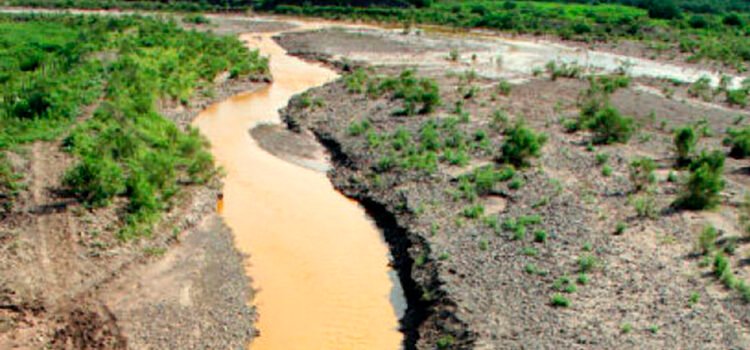 Minera de Grupo México es responsable de contaminación del Río Sonora