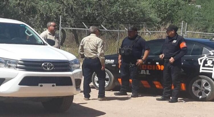 Perro pastor alemán mordió la cara de un niño de 6 años en Nogales