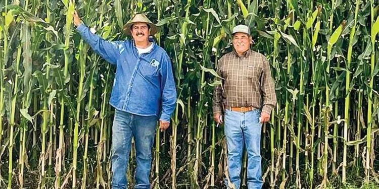 Deja a México sin agua la agricultura ineficaz