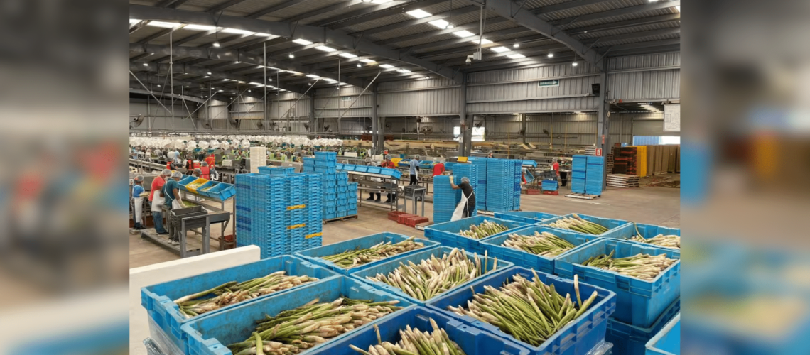 Destaca Sonora en agroexportación