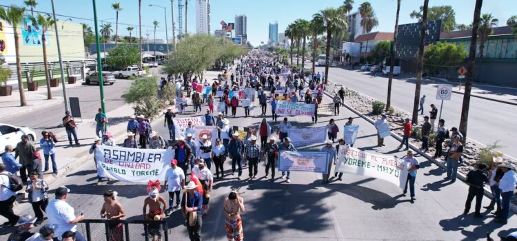 Dejarán operar a galleros en Sonora