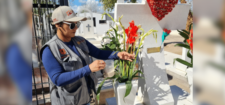 Más casos de dengue en Sonora