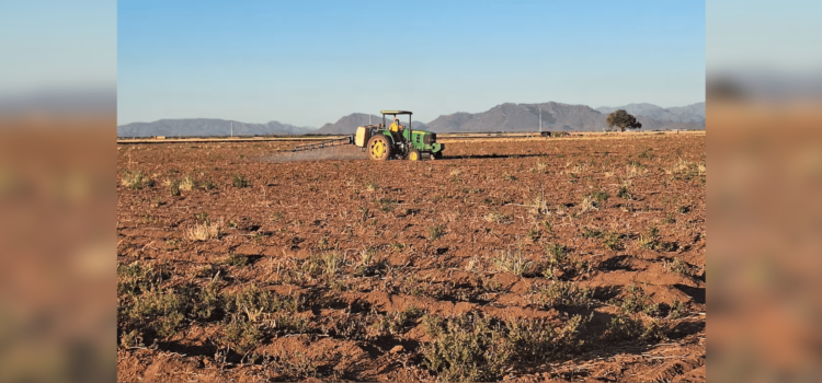 Agricultores de Sonora ven una crisis por sequía sin precedentes