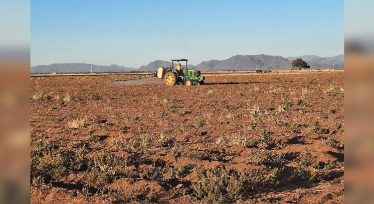 Agricultores de Sonora ven una crisis por sequía sin precedentes
