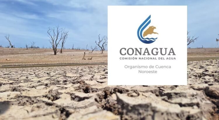 Es 2024 uno de tres 3 años más secos en la historia en Sonora: Conagua