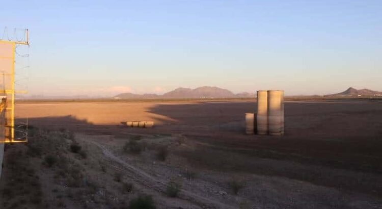 Sequía en Sonora: 66 municipios afectados, más del 90% de la región