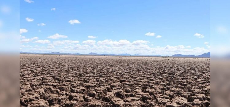 Sequía en Sonora: Sector empresarial preocupado por la falta de agua