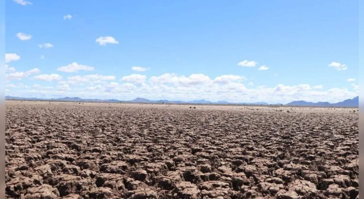 Sequía en Sonora: Sector empresarial preocupado por la falta de agua