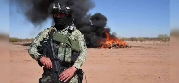 Incineración de drogas en Sonora: Alfonso Durazo destaca decomiso y quema de una tonelada de narcóticos