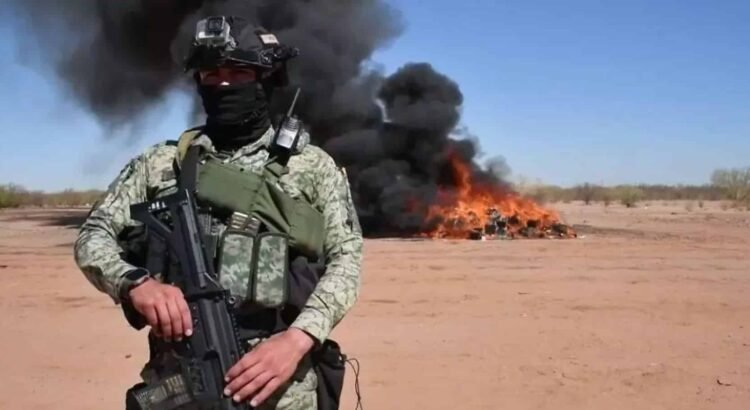 Incineración de drogas en Sonora: Alfonso Durazo destaca decomiso y quema de una tonelada de narcóticos