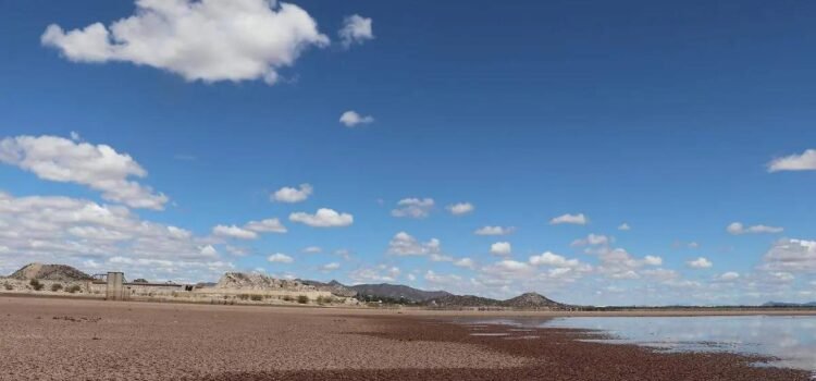 Buscan contrarrestar los efectos de la sequía en Sonora en sectores primarios