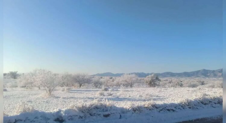 Caída de nieve sorprende a Sonora