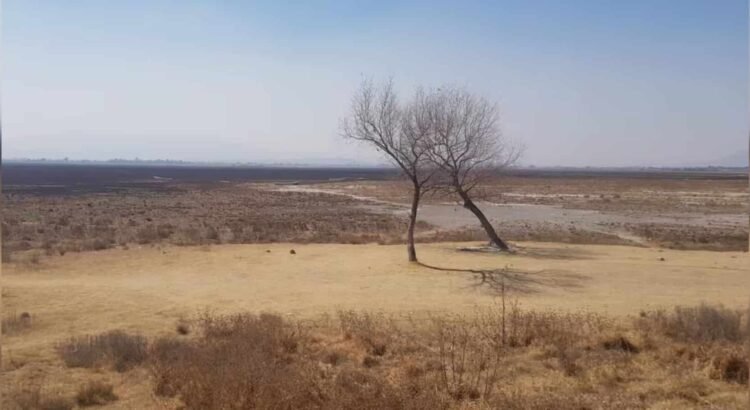 Aumenta la sequía en Sonora: los 72 municipios tienen problemas