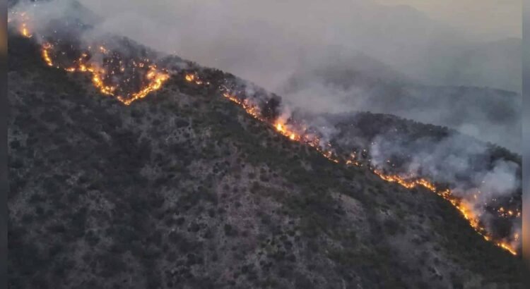 Incendios forestales en Sonora: 11 siniestros, principalmente en el sur del estado