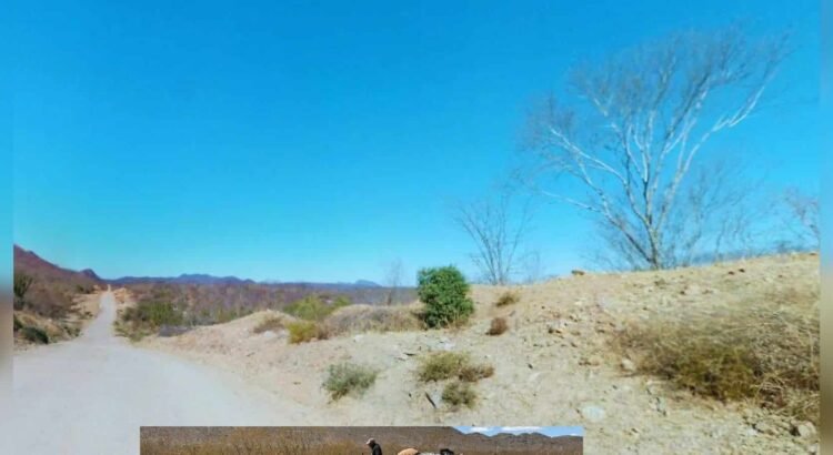 Sonora seguirá sin lluvias durante mayo, advierte Conagua
