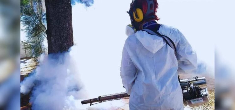 Con 17 casos, Sonora se encuentra en temporada baja de dengue