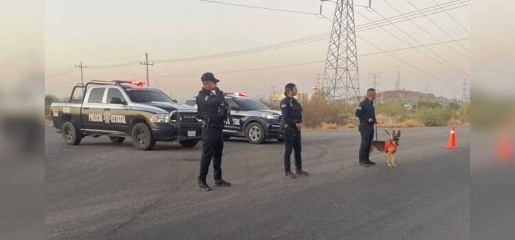 Hallan sin vida a 3 personas dentro de mina inactiva en Sonora