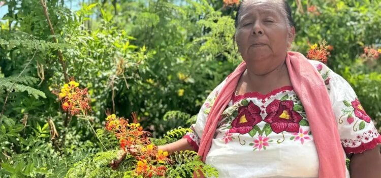 Aprueba Cofepris primer consultorio tradicional indígena en Sonora